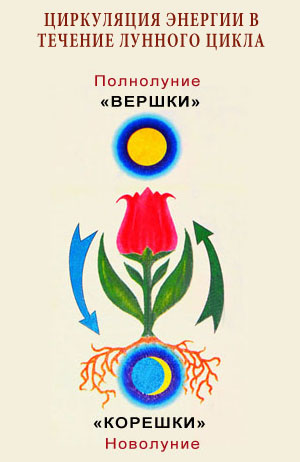 Календарь Зараева